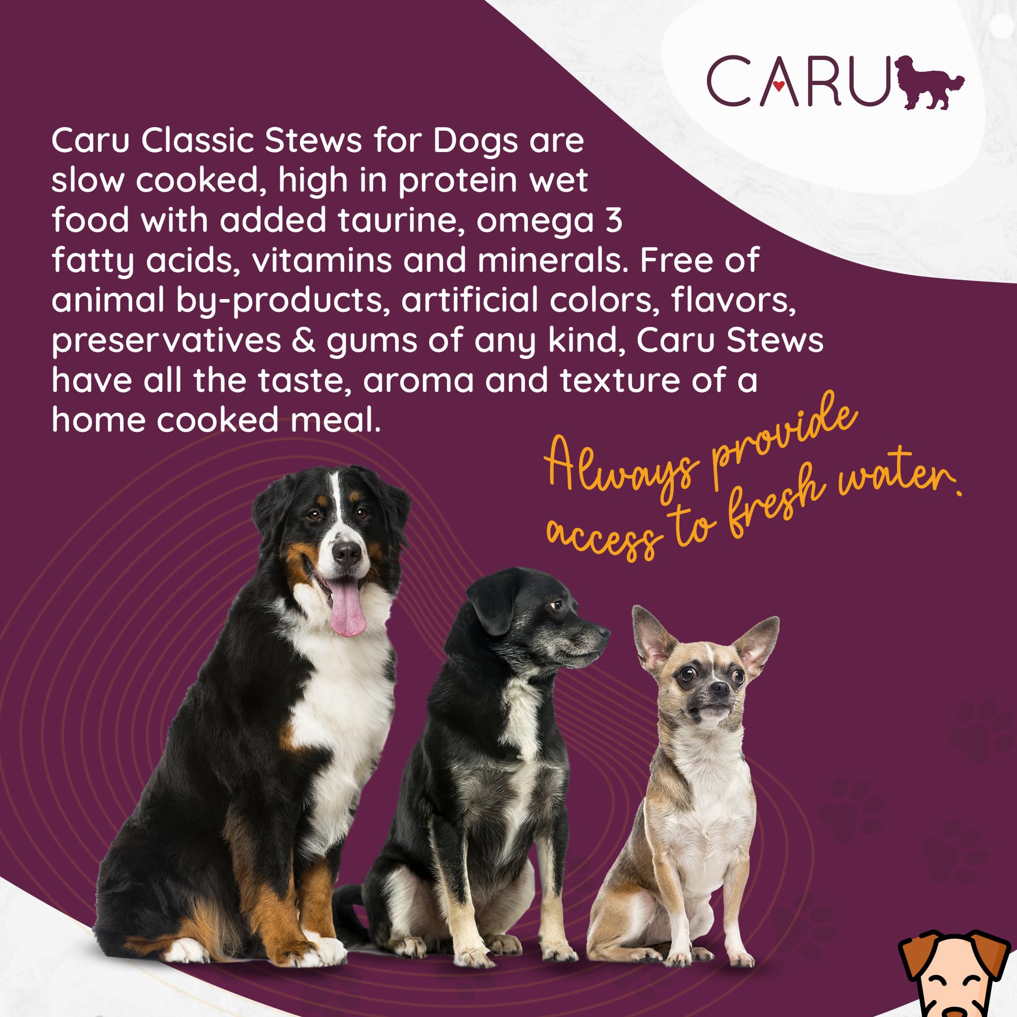 BestBy01/26 Caru Classics Chicken Stew Wet Dog Food 12oz Case of 12